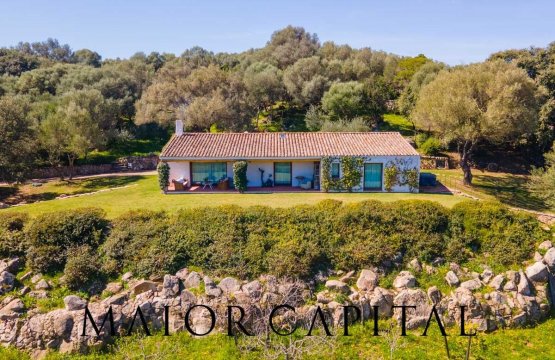 Vendita Villa Zona tranquilla Arzachena Sardegna