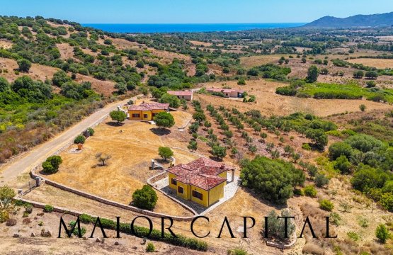 Vendita Appartamento Campagna Capo Comino Sardegna