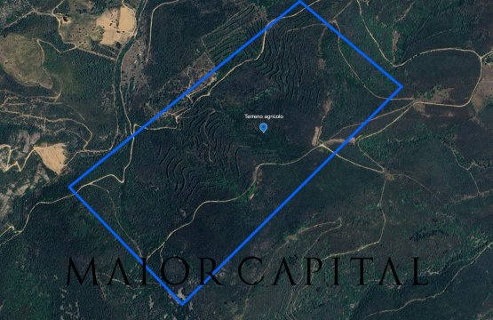 Vendita Terreno Campagna San Teodoro Sardegna