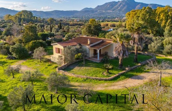 Vendita Villa Campagna Olbia Sardegna