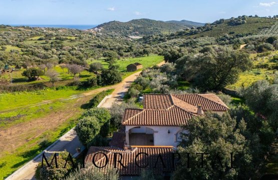 Vendita Villa Mare Budoni Sardegna