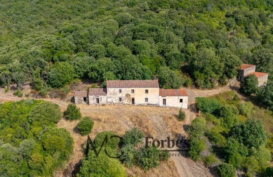 Vendita Casale Campagna Viddalba  Sardegna