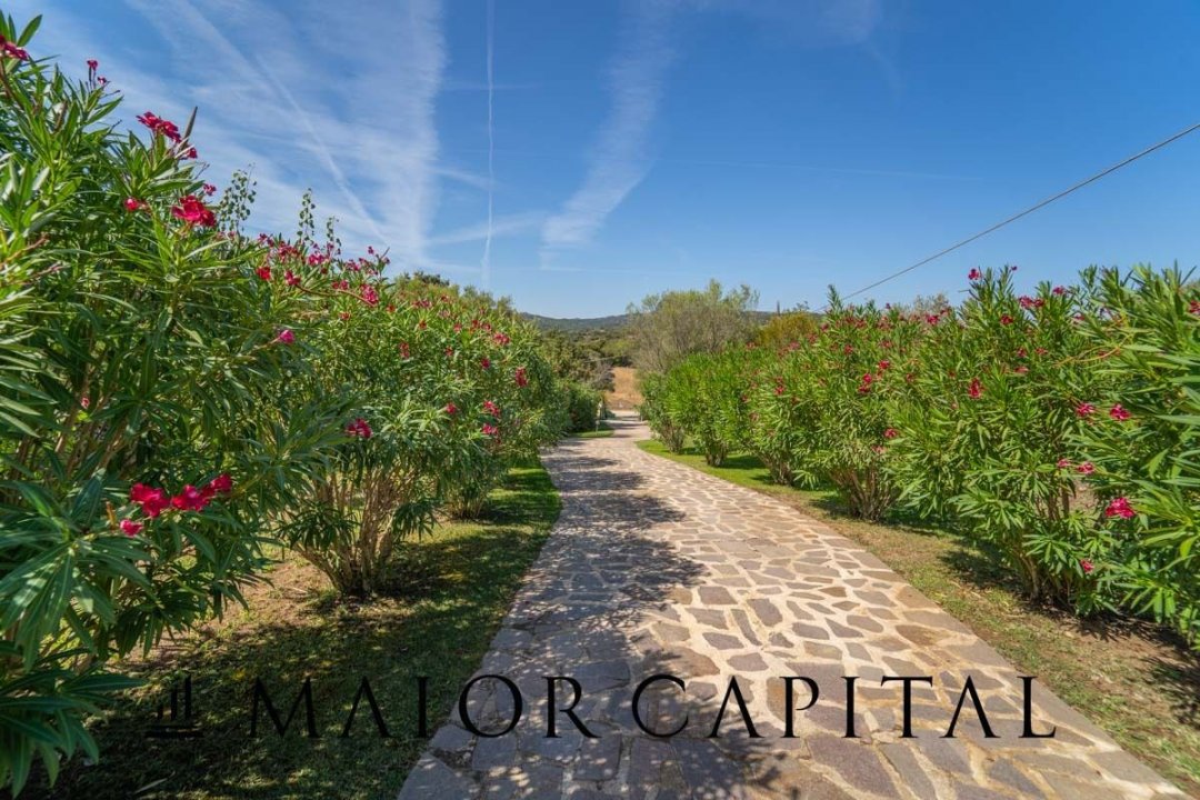 Vendita villa in zona tranquilla Olbia Sardegna foto 50